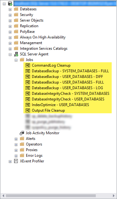 Once you have successfully executed the Ola Hallengren Scripts, the Microsoft SQL server agent should contain the following jobs.